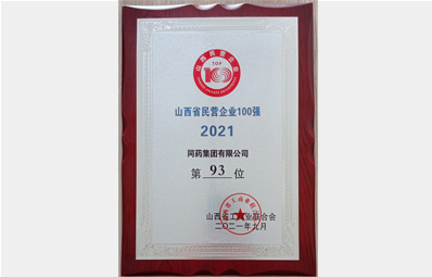 山西民营企业100强