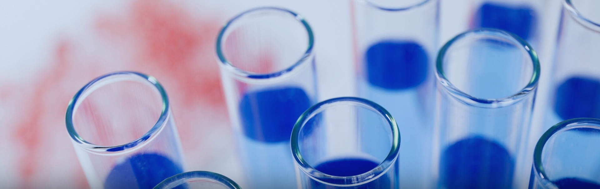 388vip太阳集团官网