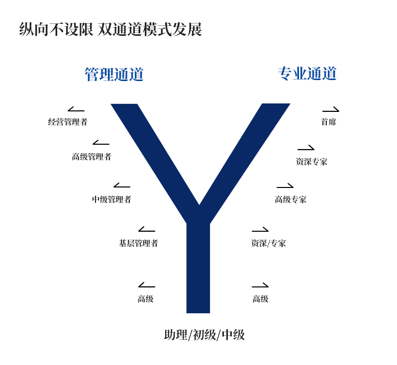 388vip太阳集团官网